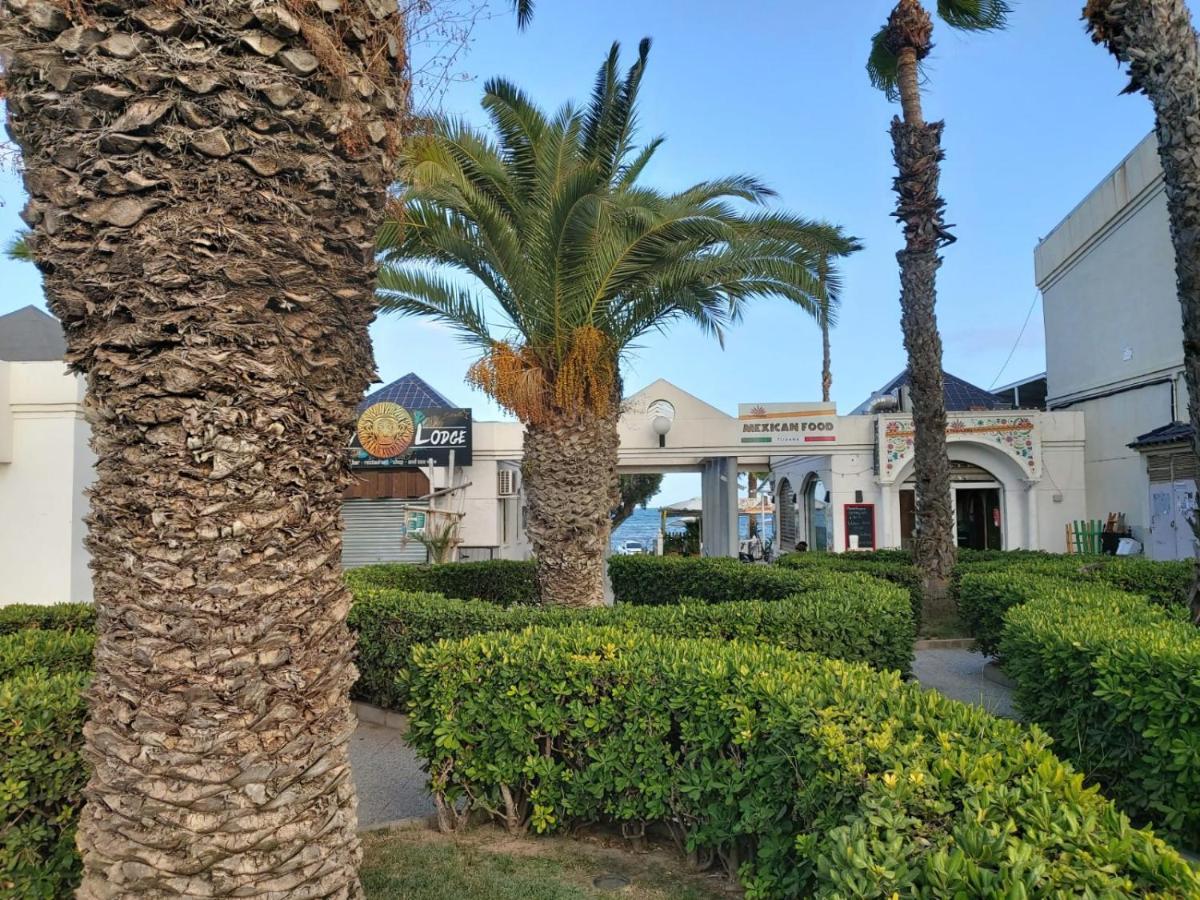 Villa Amalia 5 Torrevieja Exteriör bild