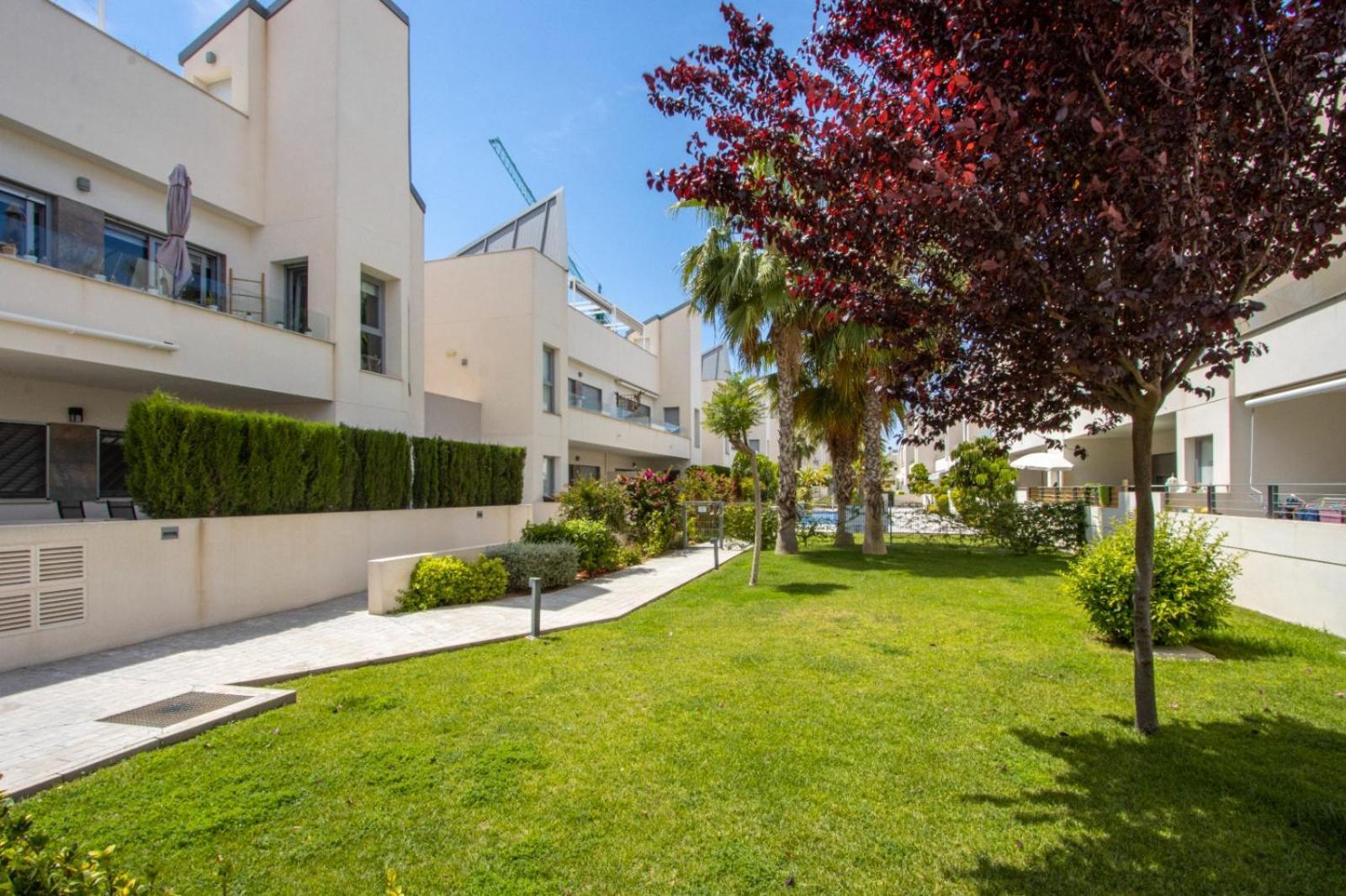 Villa Amalia 5 Torrevieja Exteriör bild